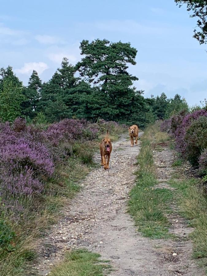 Haarles Landleven Bed and Breakfast Buitenkant foto